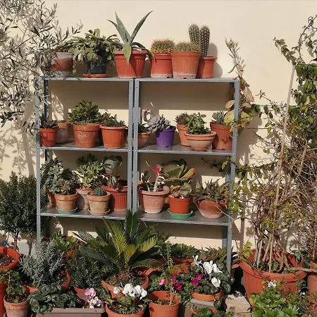 Casa Di Ele Pensión *
