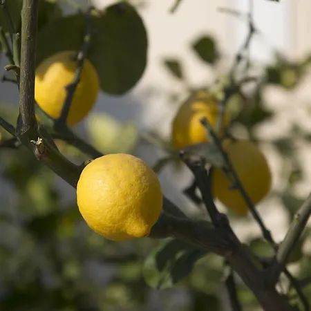 Casa Di Ele 4* רומא