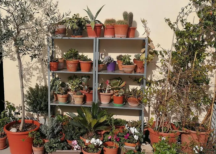 Casa Di Ele Affittacamere 4*